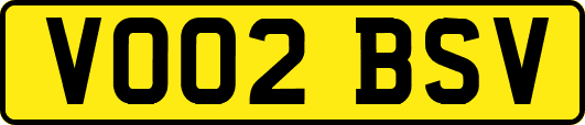VO02BSV
