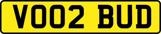 VO02BUD