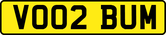 VO02BUM