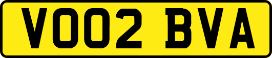 VO02BVA
