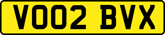 VO02BVX