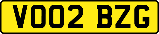VO02BZG