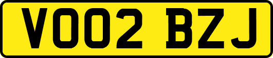 VO02BZJ