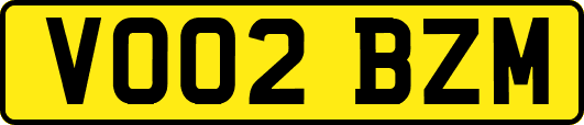 VO02BZM