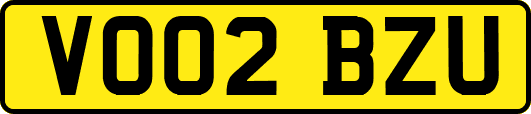 VO02BZU