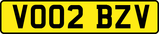 VO02BZV