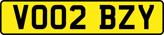 VO02BZY