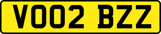 VO02BZZ