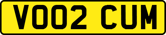 VO02CUM