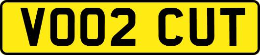 VO02CUT