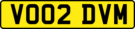 VO02DVM