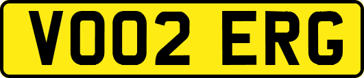 VO02ERG