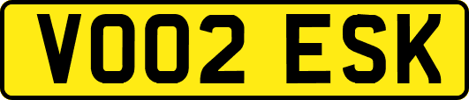 VO02ESK