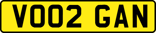 VO02GAN