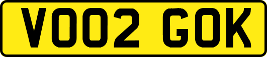 VO02GOK