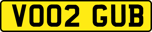 VO02GUB