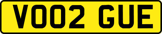 VO02GUE