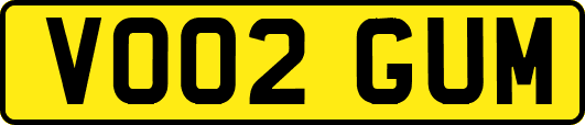 VO02GUM