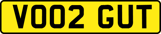 VO02GUT