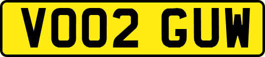 VO02GUW