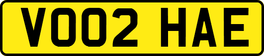 VO02HAE