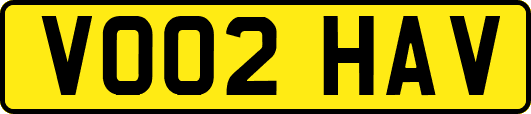 VO02HAV