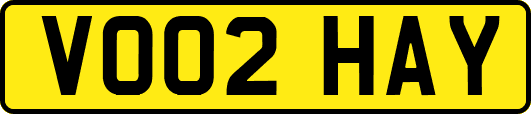 VO02HAY