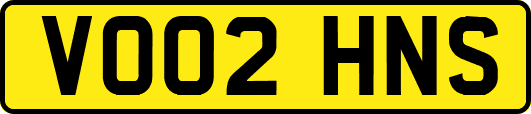 VO02HNS