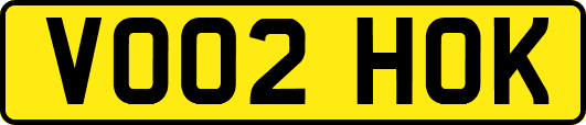 VO02HOK