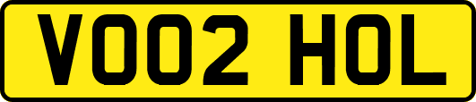 VO02HOL