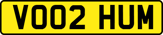 VO02HUM