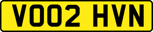 VO02HVN