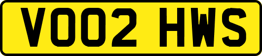 VO02HWS