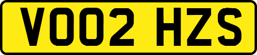 VO02HZS