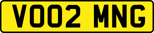 VO02MNG