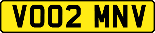 VO02MNV