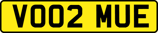 VO02MUE