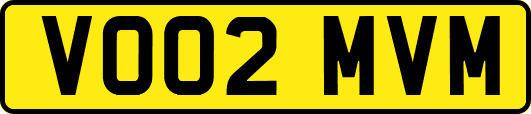 VO02MVM