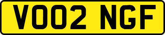 VO02NGF