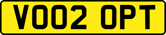 VO02OPT