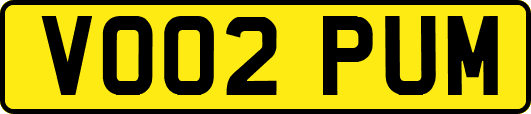VO02PUM