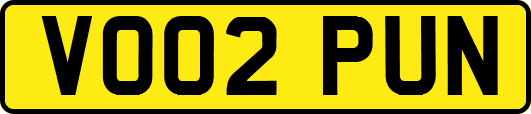 VO02PUN