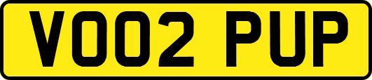 VO02PUP