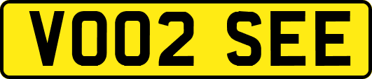 VO02SEE