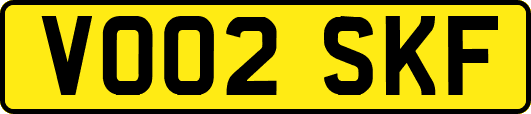 VO02SKF