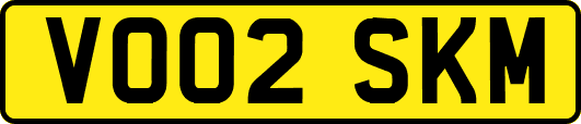 VO02SKM