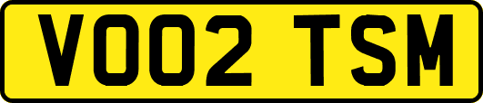 VO02TSM