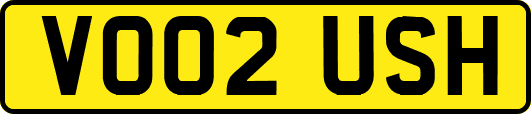 VO02USH