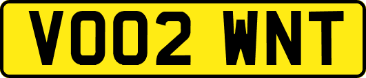 VO02WNT