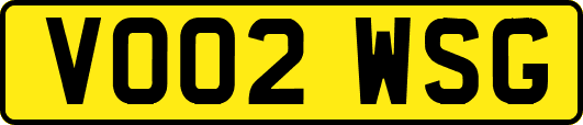 VO02WSG